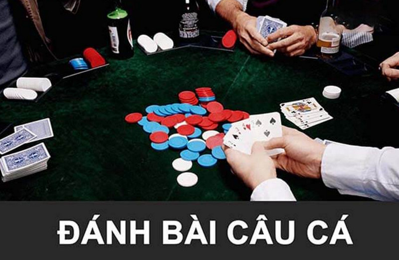 Biết trình tự một ván để chơi game bài câu cá